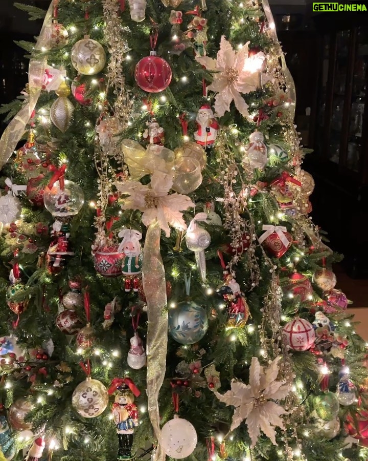 Emmy Buckner Instagram - Baby Grinch invaded Christmas and our hearts grew three sizes! ❤️❤️❤️ Been planning on this since he acquired his unique nickname at 5 days old 😂