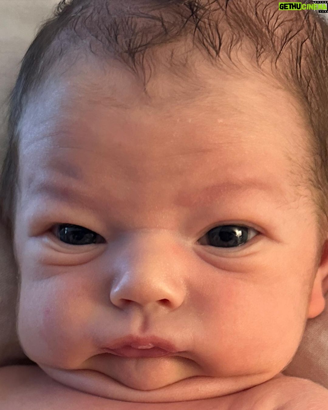 Emmy Buckner Instagram - Baby Grinch invaded Christmas and our hearts grew three sizes! ❤️❤️❤️ Been planning on this since he acquired his unique nickname at 5 days old 😂