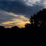 EnjoyPhoenix Instagram - september recap ✨ #september #minivlog #autumn #septemberrecap #recap