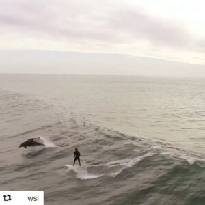 Enrique Iglesias Instagram - This is my dream.

#Repost @wsl
・・・
Amazing moment with some of nature's finest 🐬#WSLPURE
🎥: Craig Badger
🏄‍♂️: @alden___