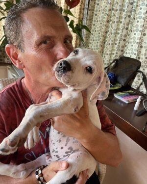 Enzo Salvi Instagram - Amici  Miei , Vi presento mio nipote BYRON ( PitBull) di mio figlio Manuel & Federica 🥰 il nuovo entrato nella famiglia Salvi .
Più gente conosco, e più apprezzo i miei cani❤️ Un bacio a tutti i vostri amici pelosi da  zio Enzo😘