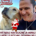 Enzo Salvi Instagram -