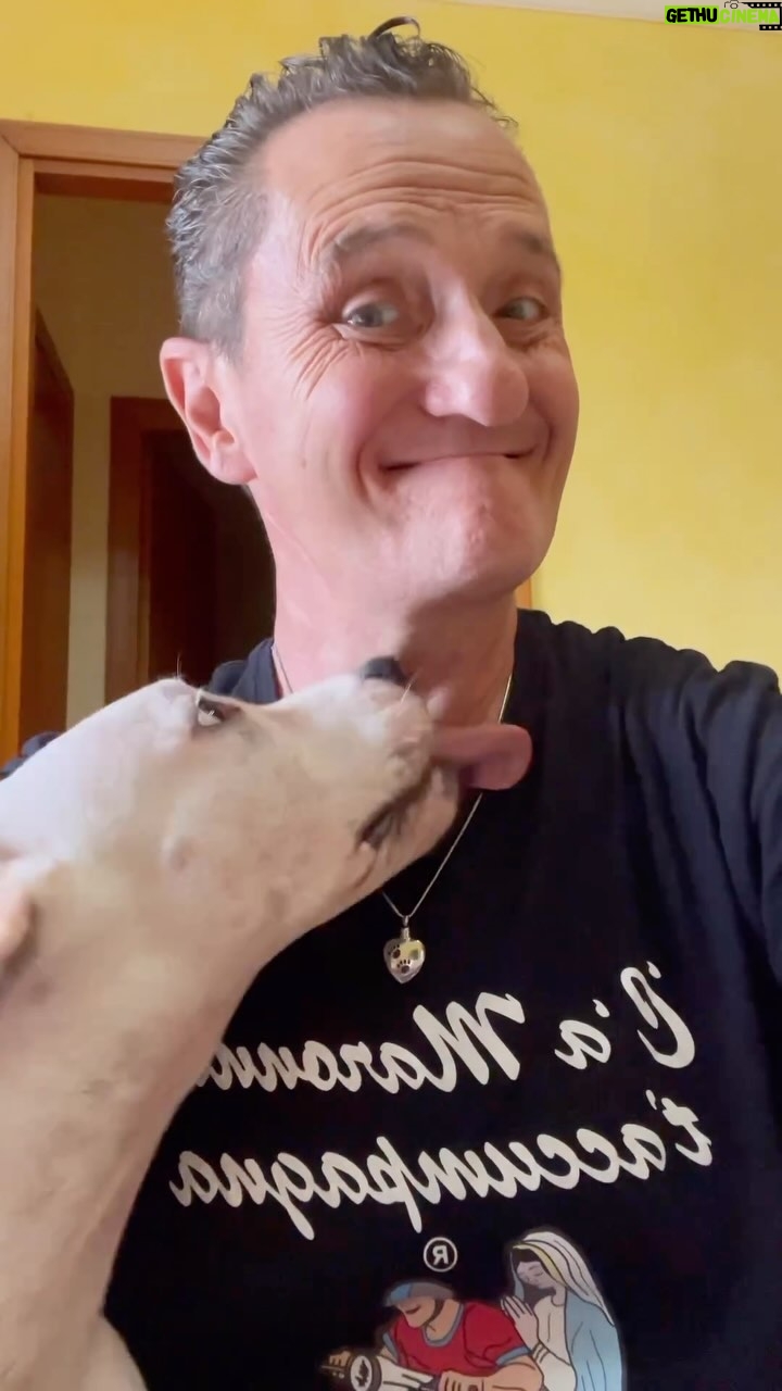 Enzo Salvi - 2.4K Likes - Non c’è miglior psichiatra al mondo come un cucciolo di cane che lecca il tuo volto🥰BYRON ❤️#pitbull