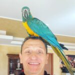 Enzo Salvi Instagram - L’autoironia è l’arte di saper ridere di se stessi e contiene, probabilmente, le chiavi per una serenità interiore altrimenti non raggiungibile. Lo stesso psicoanalista Sigmund Freud disse che l’umorismo è il più potente meccanismo di difesa, ma non solo, aggiunse che è proprio l’autoironia, ovvero l’umorismo rivolto verso se stessi, che custodirebbe il segreto della felicità😜😂 PERCIÒ’ OGNI TANTO FATEVELE DUE SANE RISATE 😂😂😂😂😂 COSÌ GLI INVIDIOSI CHE VI VEDONO RIDERE ROSICANO IL DOPPIO🤪 BACI🥰 Ostia Lido
