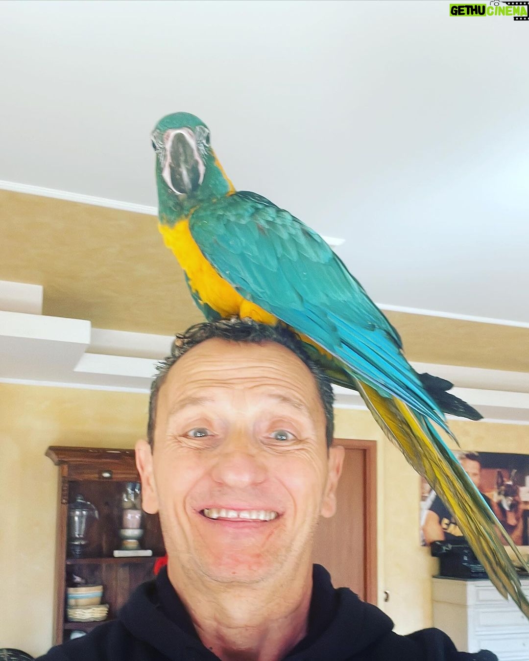 Enzo Salvi - 2.8K Likes - L’autoironia è l’arte di saper ridere di se stessi e contiene, probabilmente, le chiavi per una serenità interiore altrimenti non raggiungibile. Lo stesso psicoanalista Sigmund Freud disse che l’umorismo è il più potente meccanismo di difesa, ma non solo, aggiunse che è proprio l’autoironia, ovvero l’umorismo rivolto verso se stessi, che custodirebbe il segreto della felicità😜😂
PERCIÒ’ OGNI TANTO FATEVELE DUE SANE RISATE 😂😂😂😂😂
COSÌ GLI INVIDIOSI CHE VI VEDONO RIDERE ROSICANO IL DOPPIO🤪
BACI🥰