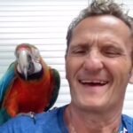 Enzo Salvi Instagram - Quando il tuo pappagallo lavora al call center😜Kikko❤️🦜