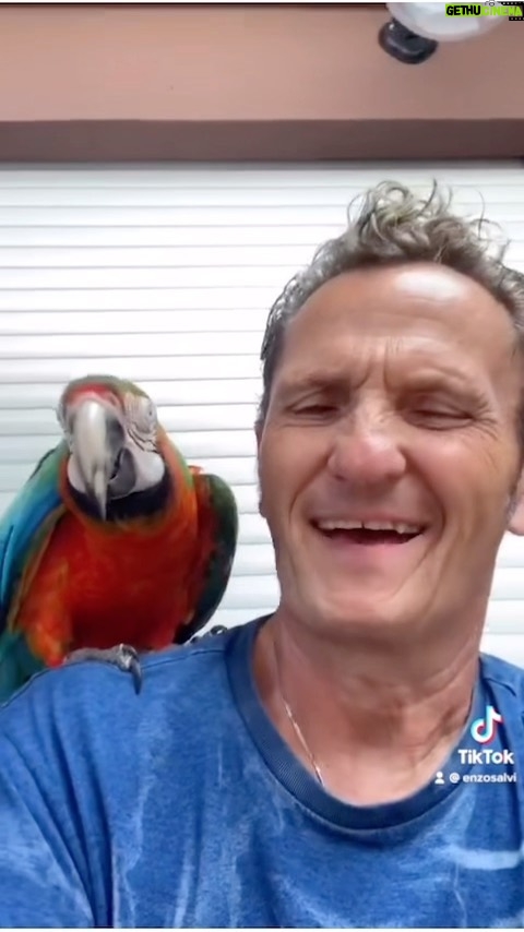 Enzo Salvi Instagram - Quando il tuo pappagallo lavora al call center😜Kikko❤️🦜