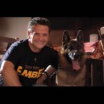 Enzo Salvi Instagram - GLI ANIMALI entrano nella tua vita in punta di piedi , FEDELMENTE si siedono al tuo fianco, DOLCEMENTE ti conquistano il cuore , SEMPLICEMENTE TI RIEMPIONO LA VITA ❤️ Un bacio 🥰ai vostri Migliori Amici❤️ Ostia Lido