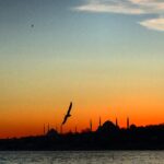 Erdal Küçükkömürcü Instagram –