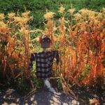 Erdal Küçükkömürcü Instagram –  Ayas, Ankara