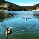 Erdal Küçükkömürcü Instagram – #sunnetgolu #sünnet gölü