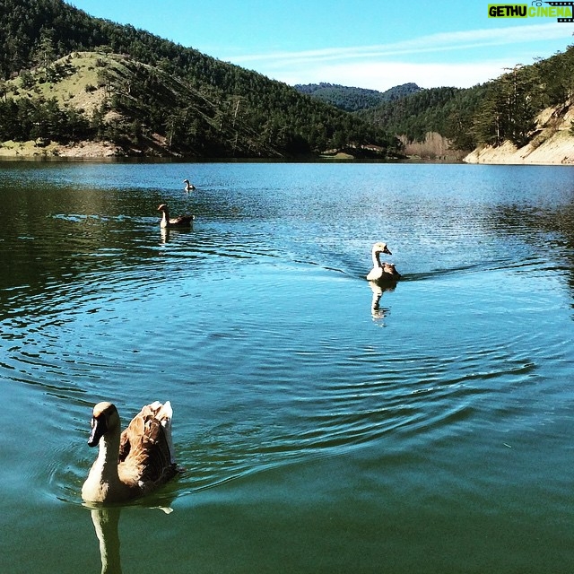 Erdal Küçükkömürcü Instagram - #sunnetgolu #sünnet gölü