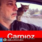 Erdal Küçükkömürcü Instagram – #Repost @alpkucukkomurcu with @repostapp.  Veterinere giderken