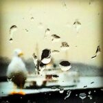 Erdal Küçükkömürcü Instagram – Bu sabah yağmur var İstanbul’da #anipaylas  #istanbul #objektifimden #istanbuldayasam #gununkaresi