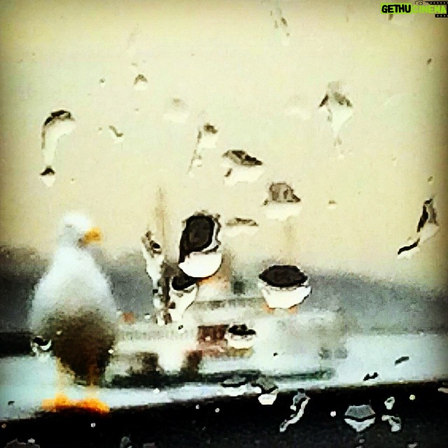 Erdal Küçükkömürcü Instagram - Bu sabah yağmur var İstanbul'da #anipaylas #istanbul #objektifimden #istanbuldayasam #gununkaresi