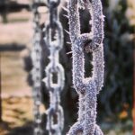 Erdal Küçükkömürcü Instagram -
