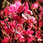 Erdal Küçükkömürcü Instagram - Mutlu bayramlar