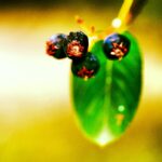 Erdal Küçükkömürcü Instagram -