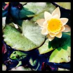 Erdal Küçükkömürcü Instagram –