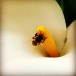 Erdal Küçükkömürcü Instagram -