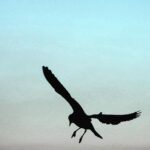 Erdal Küçükkömürcü Instagram -
