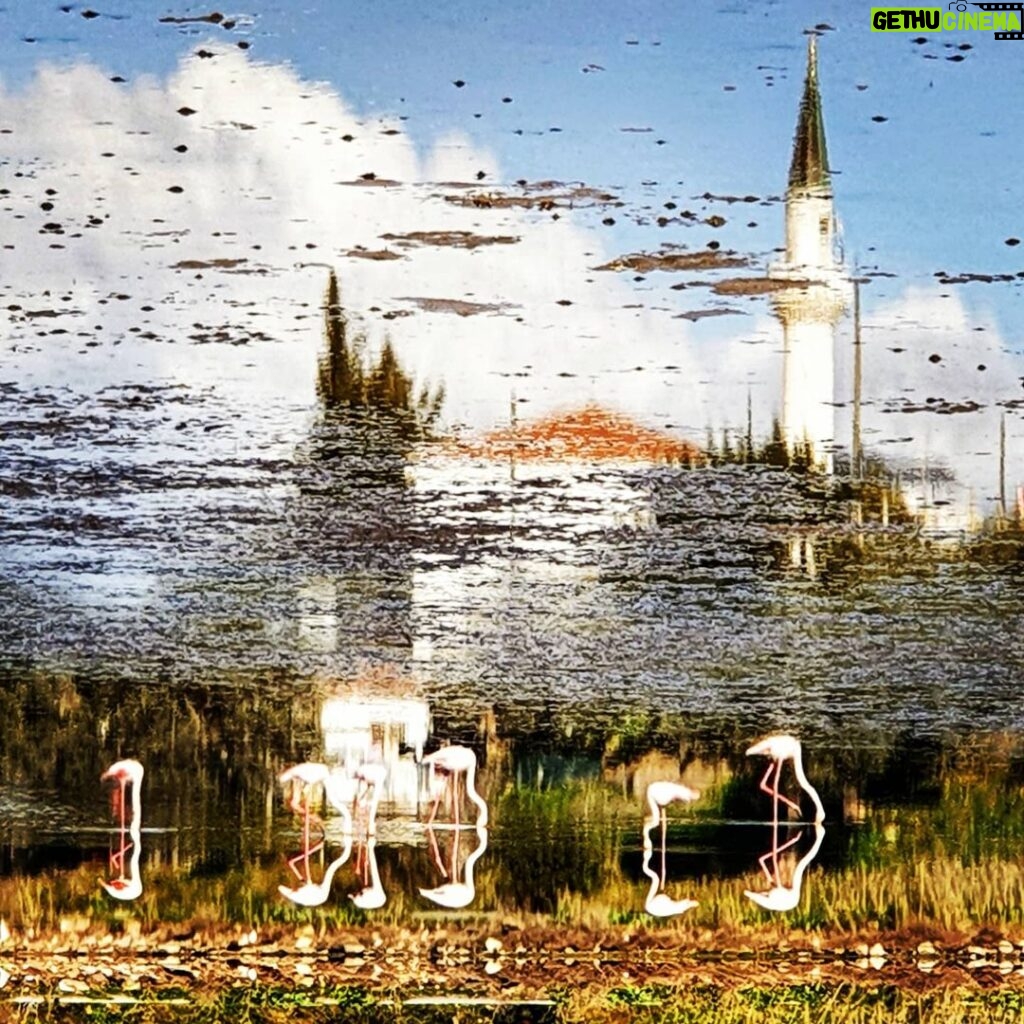 Erdal Küçükkömürcü Instagram - Bakış açısını değiştirmek gerek... Bargilya, Boğaziçi köyü Milas