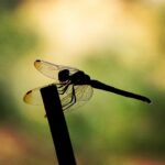 Erdal Küçükkömürcü Instagram -