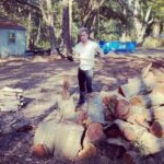 Eric Bass Instagram - “Downtime”. #shinedown #planetzero #therapy #lumberjack #lumbersexual #friday #fridayvibes #firewood #ritualsacrafice Johns Island, South Carolina