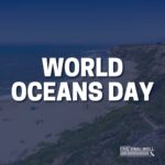 Eric Swalwell Instagram - Happy World Oceans Day!🌊 The ocean covers more than 70% of the planet and is closely intertwined with the stability of our climate. Let’s pledge to raise awareness about the impact of climate change on our oceans and advocate for policies that will protect and preserve them for generations to come. #SaveOurOceans