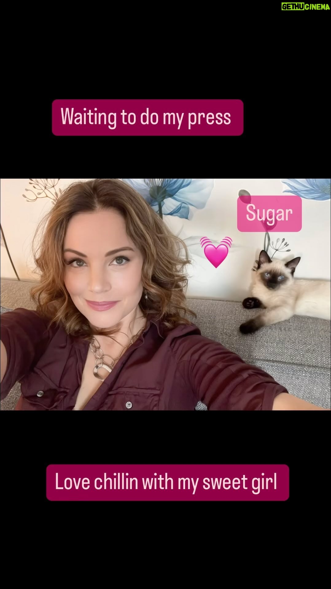 Erica Durance Instagram - Kitty Therapy!!! Sheโs the best company๐ธ๐ธ๐๐๐