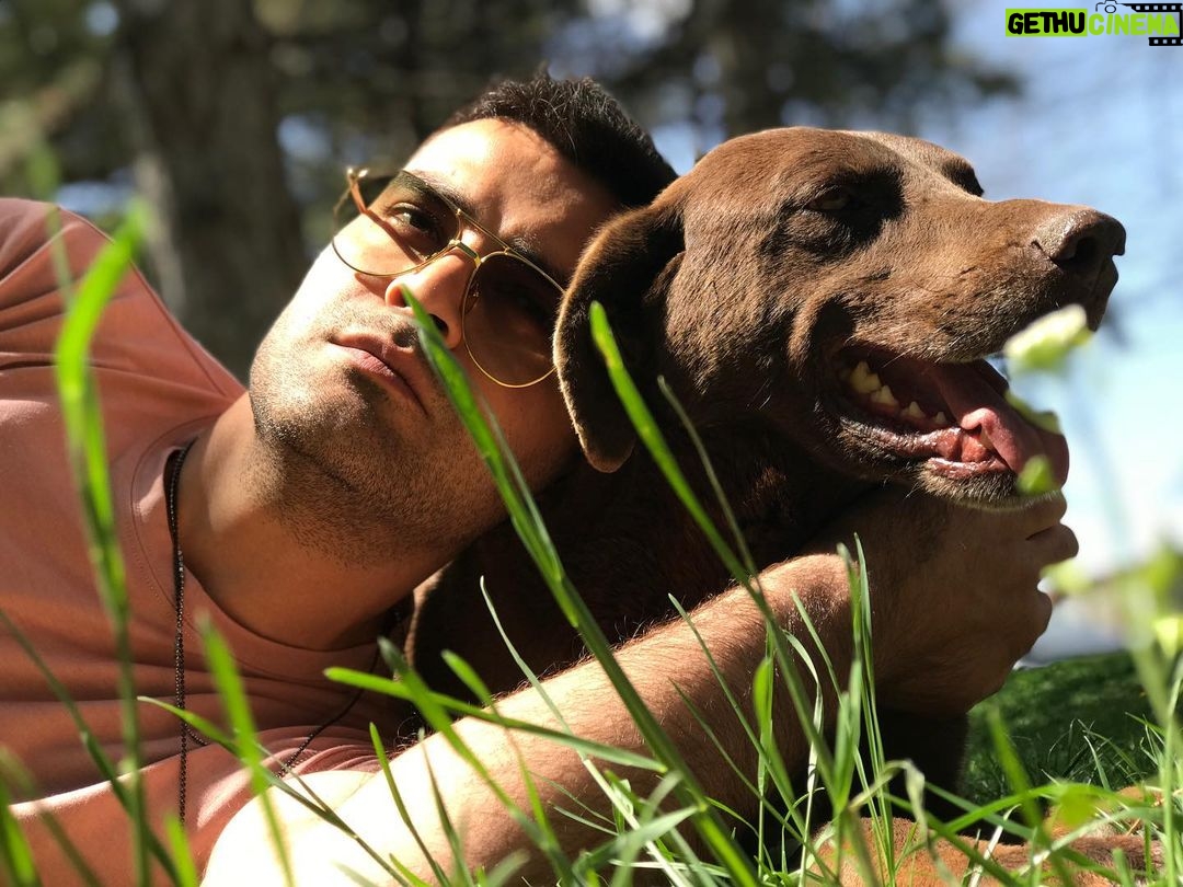 Erkan Meriç - 16.4K Likes - 🐶 şu kadar sevilsek yeter be 🐶