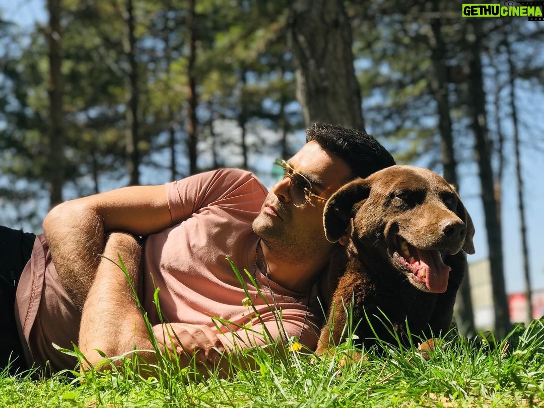 Erkan Meriç - 16.4K Likes - 🐶 şu kadar sevilsek yeter be 🐶