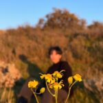 Erol Instagram - ⠀ 世界太安靜的時候我在想 人類努力進化那麼久，到最後還不是成為了只要被愛就會開心的小動物 可以離開都市 離開山 離開海 但總離不開愛 上衣 @xyostudio #lifestyle #mountains #travel #ootd #nature California, USA
