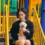 Erol Instagram - ⠀ 記得有一陣子我狀態很不好，剛搬回家 除了吃飯，其它時間都把自己關著 雷夢每天帶著她的小玩具來敲我房門 一開始沒理她，沈浸在自己情緒裡 但她依然時間到就會來，不厭其煩 有一次真的被煩到，覺得她好吵準備開門把她趕走 門打開那瞬間發現她充滿期待看著我 一直轉圈圈，並且把最愛的玩具丟給我 好像在說：終於等到妳了！趕快來玩！ 不得不說妳出現的這段時間真的照亮了我 大部分人會說「花時間」陪寵物 其實毛小孩們才是花了一輩子在陪你。 不用學會什麼特別才藝，或比其他狗狗聰明 一起賽跑、玩躲貓貓都是美好生活的一部分。 隨著年紀增長越能感受時間消逝 希望在有限的時間裡，盡量替妳製造無限快樂的回憶 #lifestyle #puppy #doglover