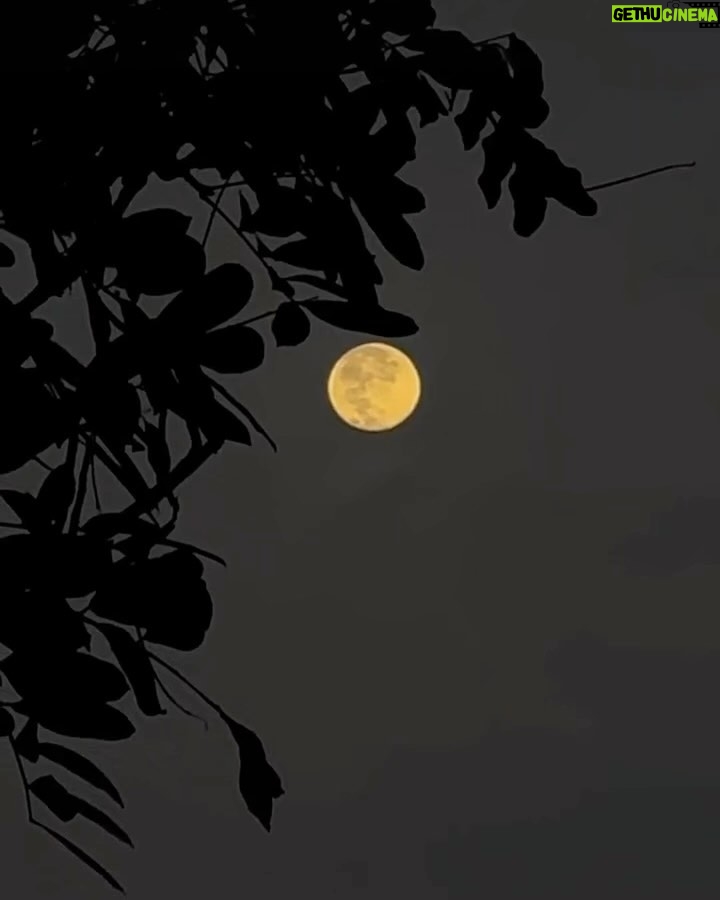 Erol Instagram - ⠀ 不能一起吃月餅 但記得抬頭看看同一個月亮 並對月亮許願 希望我愛的人都能在身邊 年年歲歲 月亮好大好圓~~