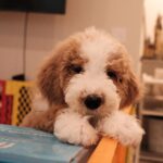 Erol Instagram - ⠀ 不能一起吃月餅 但記得抬頭看看同一個月亮 並對月亮許願 希望我愛的人都能在身邊 年年歲歲 月亮好大好圓~~