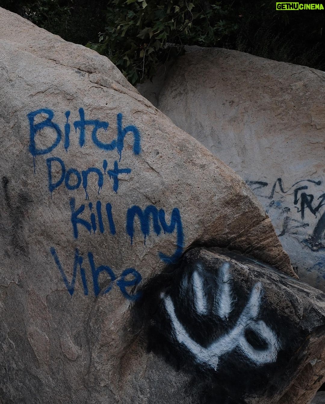 Erol Instagram - Bitch don’t kill my vibe California, USA