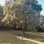 Esra Ruşan Instagram – Herkesin herkesi dolandırdığı bir haftadan daha merhaba sevgili arkadaşlar. Ama konumuz ben ve tatlı fotoğraflarım.