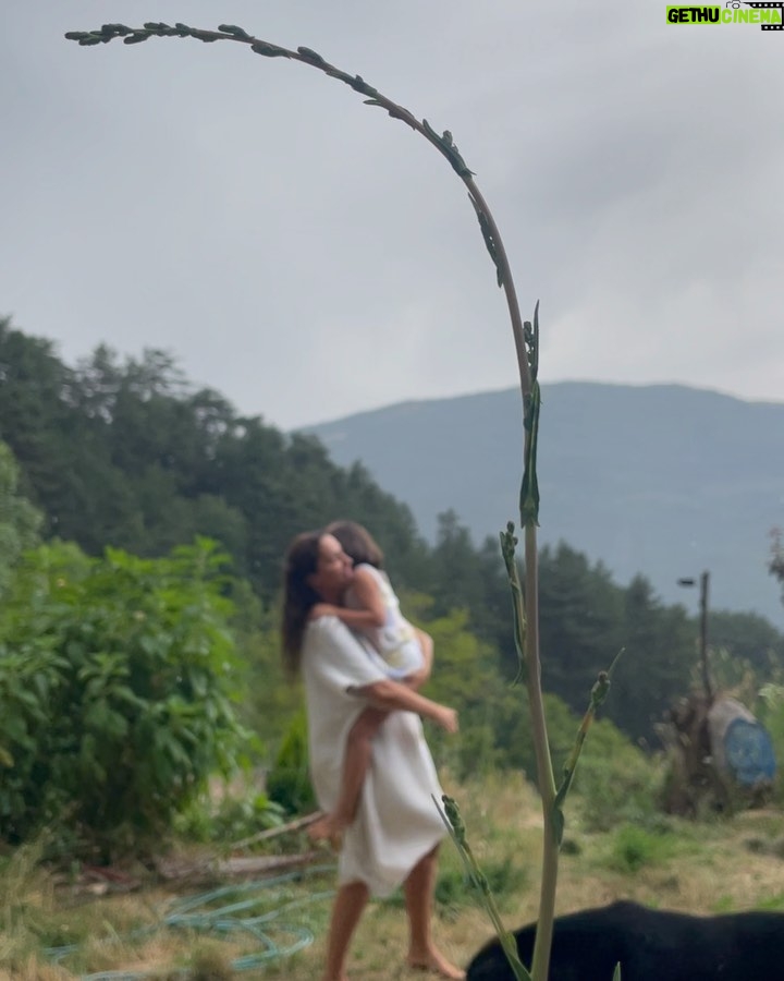 Esra Ruşan Instagram - @yaban_bolu pastoral bir masal diyarısın🌿 lapi, sis, karam ve şala❤️