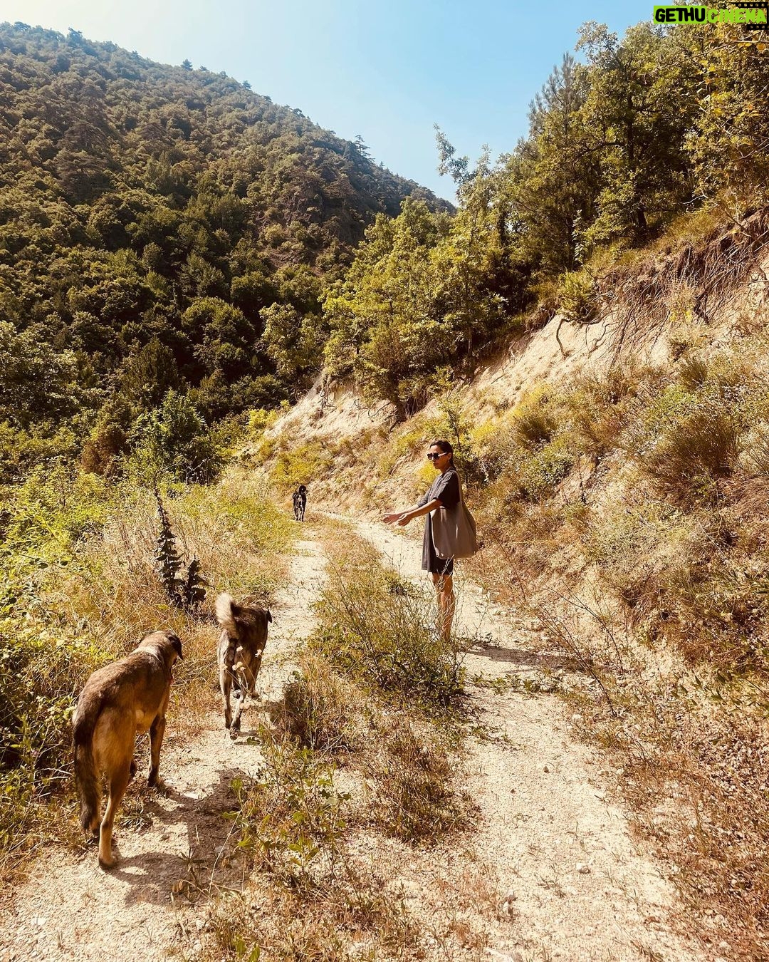 Esra Ruşan Instagram - @yaban_bolu pastoral bir masal diyarısın🌿 lapi, sis, karam ve şala❤️