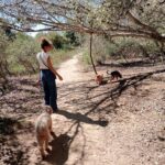 Esther Acebo Instagram - Sí, tengo q Lavar La furgo.. pero eL paseíto por La sierra Lo ha merecido 🌳 💚 @mbfurgonetas