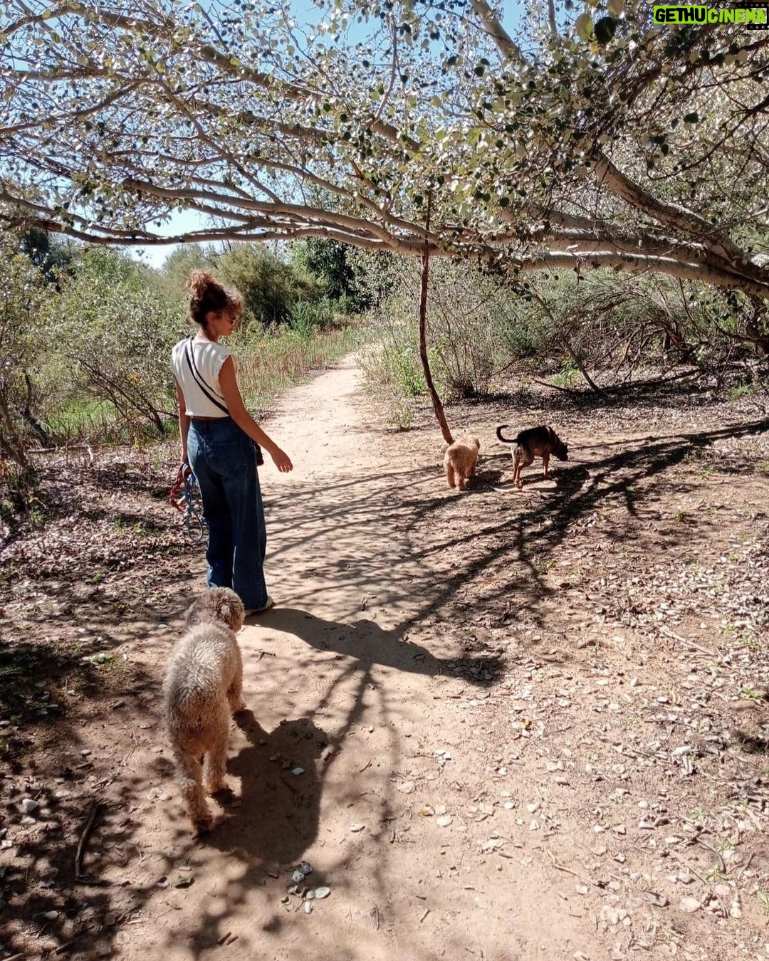 Esther Acebo Instagram - Sí, tengo q Lavar La furgo.. pero eL paseíto por La sierra Lo ha merecido 🌳 💚 @mbfurgonetas