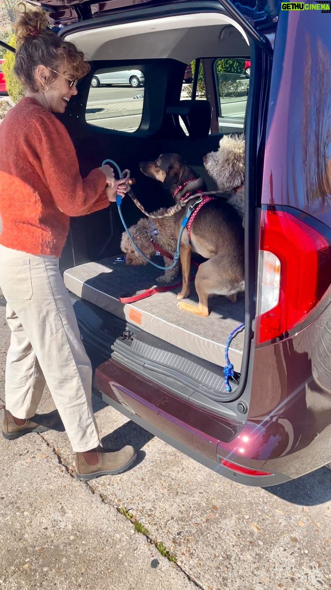 Esther Acebo Instagram - ViLLaRizos&peLitos arranca un ViAJE EMOCiONANTE con @mbfurgonetas y no podemos estar más FELiCES ♥️🚐 #CLaseTcontigo #ad #mercedesbenzvans