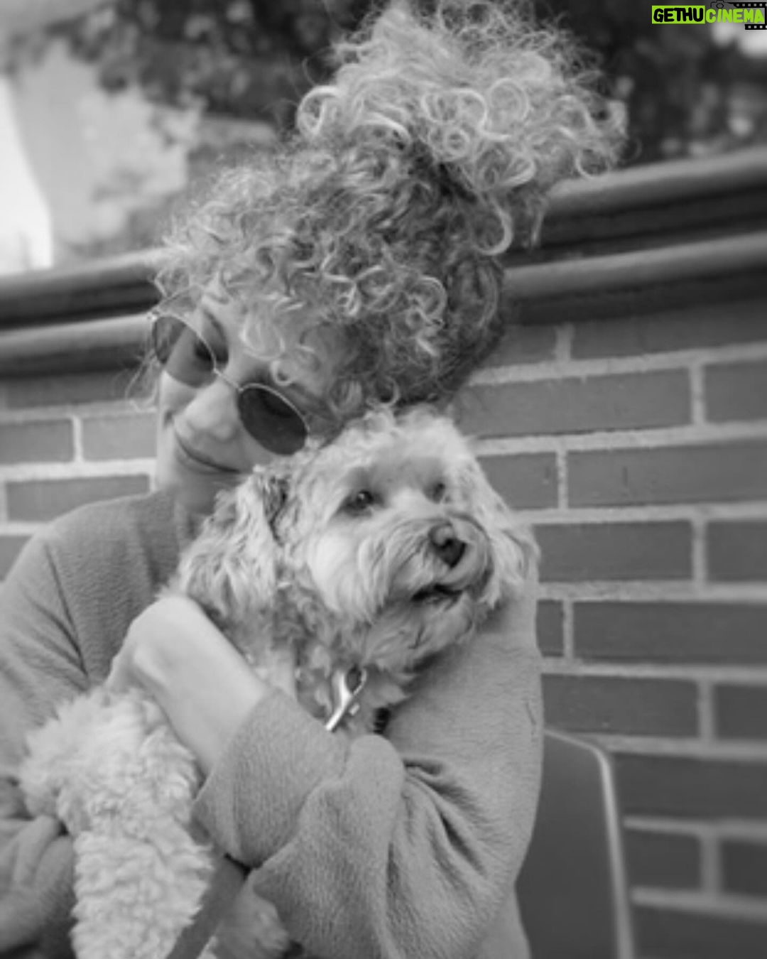 Esther Acebo Instagram - Mi croqueta favorita cumple 9 años. Siempre paciente, tranquila y de buen humor. Gracias por traer algo de paz a ViLLArizos.. 🥩🍦#petraCumple9