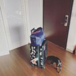 Esther Liu Instagram – #日常碎片
飛不停的九月
行程一直看不到終點
也到了九月的最後一天

總是有這麼幾個瞬間
時間彷彿凝結
確認了我的靈
確實存在於這世界

十月來了
我都來了
當然繼續勇往直前
🙋‍♀️

最後一張是 @aiyalayotw 
她榮登我 #外出工作必備 
#吃貨推薦