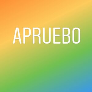 Etienne Bobenrieth Instagram - #yoapruebo 
Si usted no aprueba, no deje de seguirme! No es grave pensar distinto, es DEMOCRACIA. Tampoco tire su mala onda. Pongan sus opiniones en su voto, que es lo importante. Cariños a todos y todas! 💜🤟🏼👏🏼🌈🙏🇨🇱