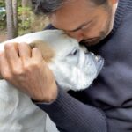 Eugenio Derbez Instagram - El dolor que hoy siento, es inmenso. Se me fue mi compañera, quien caminó a mi lado estos últimos 11 años. Estuvo conmigo en cada filmación, en cada proyecto, desvelándose y desmañanándose conmigo. Mi compañera de viajes, mi cómplice de aventuras y la mejor hermana que pudo tener Aitana. Nadie estuvo más cerca de mí en estos 11 años, que ella. Sé que la voy a extrañar cada momento del día. Qué difícil va a ser irme a trabajar mañana por primera vez sin ella. Qué difícil va a ser intentar hacer reír, cuando uno está roto por dentro. Gracias a todos los que la conocieron y la amaron, a todos los que tocaron su corazón y a todos lo que se cruzaron en su camino. Agradezco a Dios y al universo que nos haya permitido estar a su lado en el momento de partir. Se fue feliz… rodeada de amor, y con una pelota de tenis en la boca. Gracias Ale y Aitana por haberle dado la mejor familia a Fiona! Espero que pronto encontremos un poco de resignación, sobretodo Aitana que no ha parado de llorar… Gracias Aislinn, Mariana, Rob, Raúl y Laurita por tán hermosa ceremonia. Gracias Kai, Sienna y Aitana por tantas flores y dibujos. Gracias Silvia por haber venido de tán lejos solo para darle un último abrazo… fuiste la mejor tía y la más consentidora. Gracias Adrian y Víctor por acompañarnos y por cuidarla tanto. Vuela alto mi niña! Para Papá, Mamá y Aitana, siempre estarás viva en cada rincón de la casa y de nuestros corazones. /// The pain I feel today is immense. I lost my tiny companion, who walked with me these last 11 years. She was with me in every shoot, in every project, by my side through late nights and early mornings. She was my travel buddy, my adventurer, and the best sister Aitana could have. Nobody was closer to me these last 11 years than her. I will miss her every moment of the day. How difficult it’ll be to go to work tomorrow without her for the first time. How difficult it’ll be to try and laugh when I’m so torn inside. Fly high my girl! For Papá, Mamá, and Aitana, you’ll always be alive in every corner of the house and our hearts.