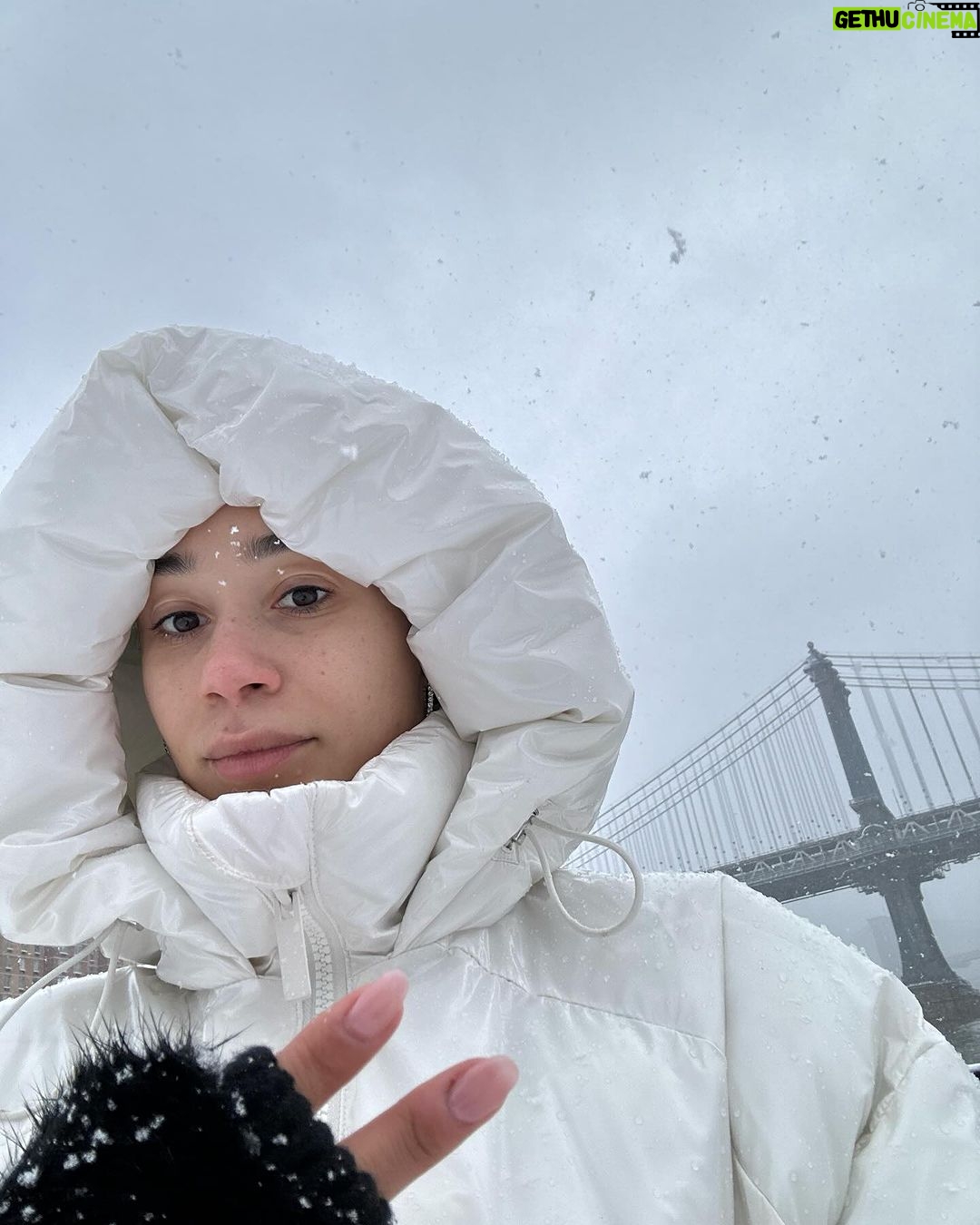 Eva Marisol Gutowski Instagram - A week in my life 🫶🥹 …. This little life…. This little LYYHYYTHHFE 🦮 New York, New York