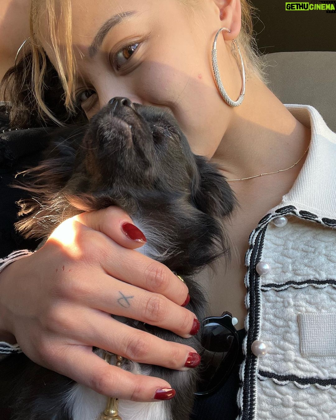 Eva Noblezada Instagram - good dog pics 🫶🏽