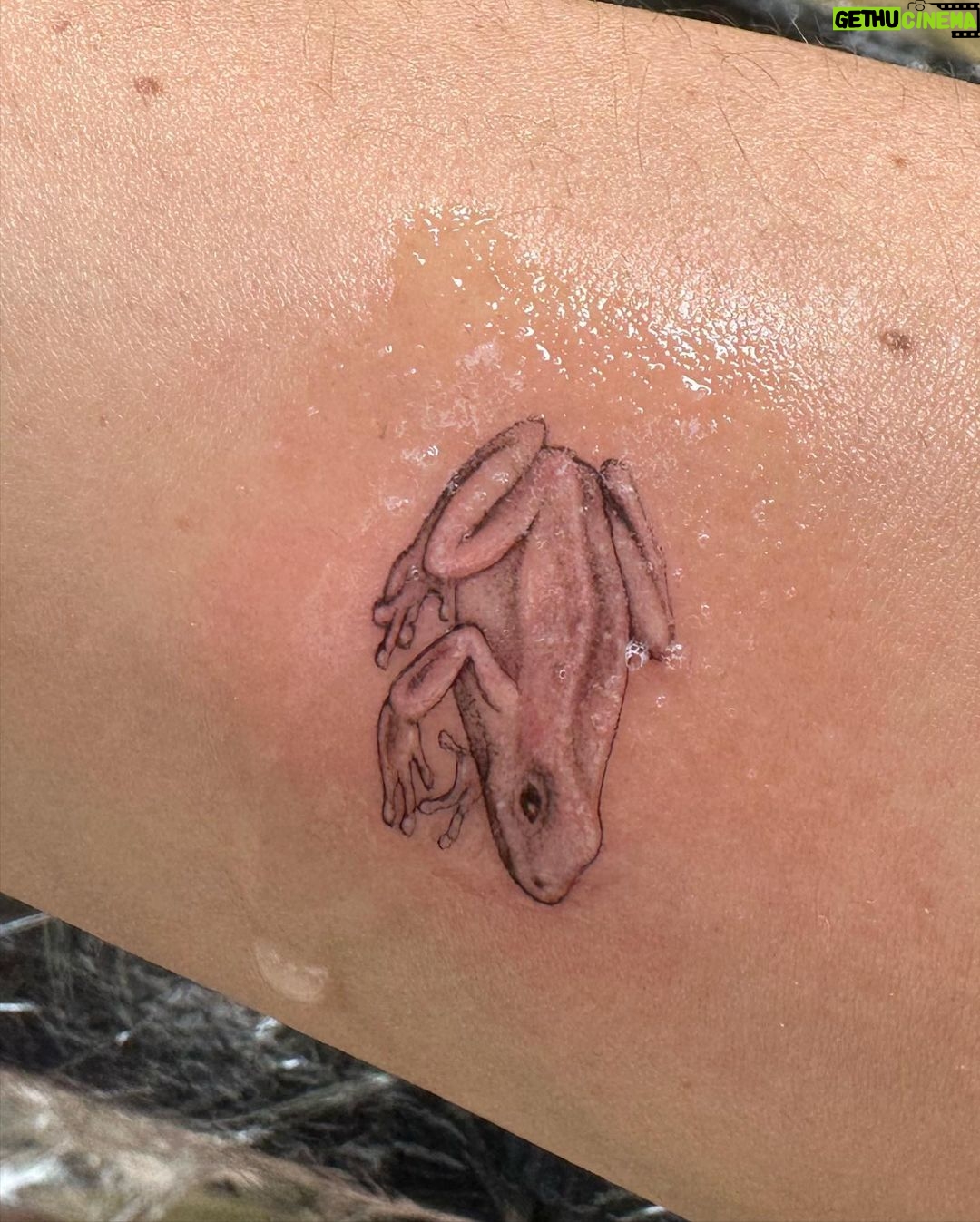 Evaluna Montaner Instagram - Empezó el mes de mi cumple y se ve lindiii. 1. Papi e Indi en la “mimina”. 2. Leer leer leer y 🍹. 3. @tattooandwalls me tatuó una ranita. 4. Y esa misma noche @camilo rescató dos ranitas chiquititas que estaban atrapadas. 5. Regalo de cumple de @camilo adelantado 🙊😻 6. 💚 7. Broncearme es mi pasión. (Tranqui tranqui…me cuido la piel) 8. 🍻 9. “Bailar bailar” 10. “Volví a la vida cuando me besaste” 💋